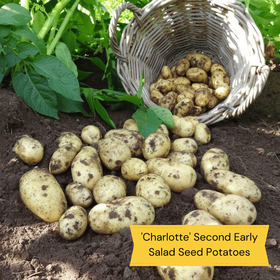 Growers' Choice