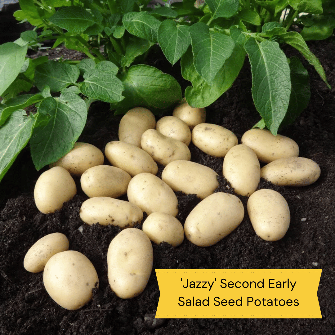 Growers' Choice