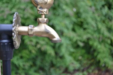 Wren Ornamental Brass Garden Tap - Hortibliss