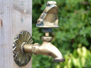 Frog Ornamental Brass Garden Tap - Hortibliss