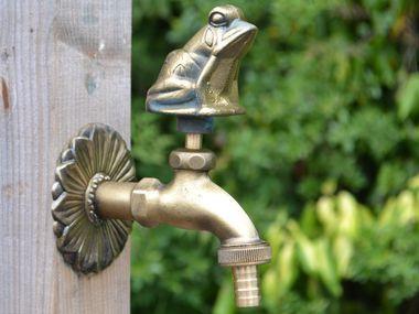 Frog Ornamental Brass Garden Tap - Hortibliss