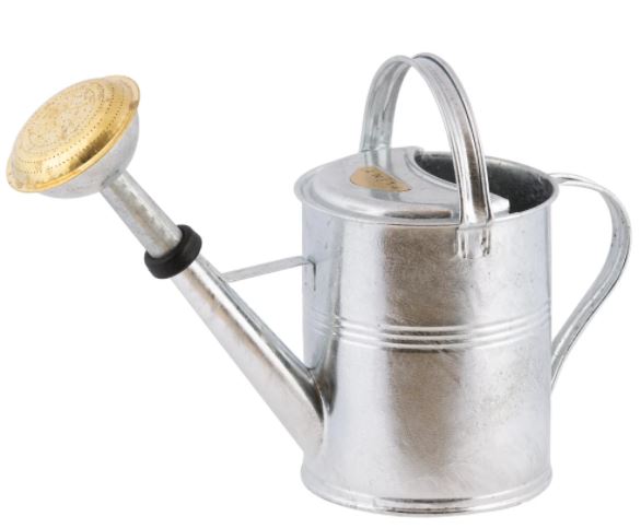 Zinc Watering Can - 5 Litres - Hortibliss