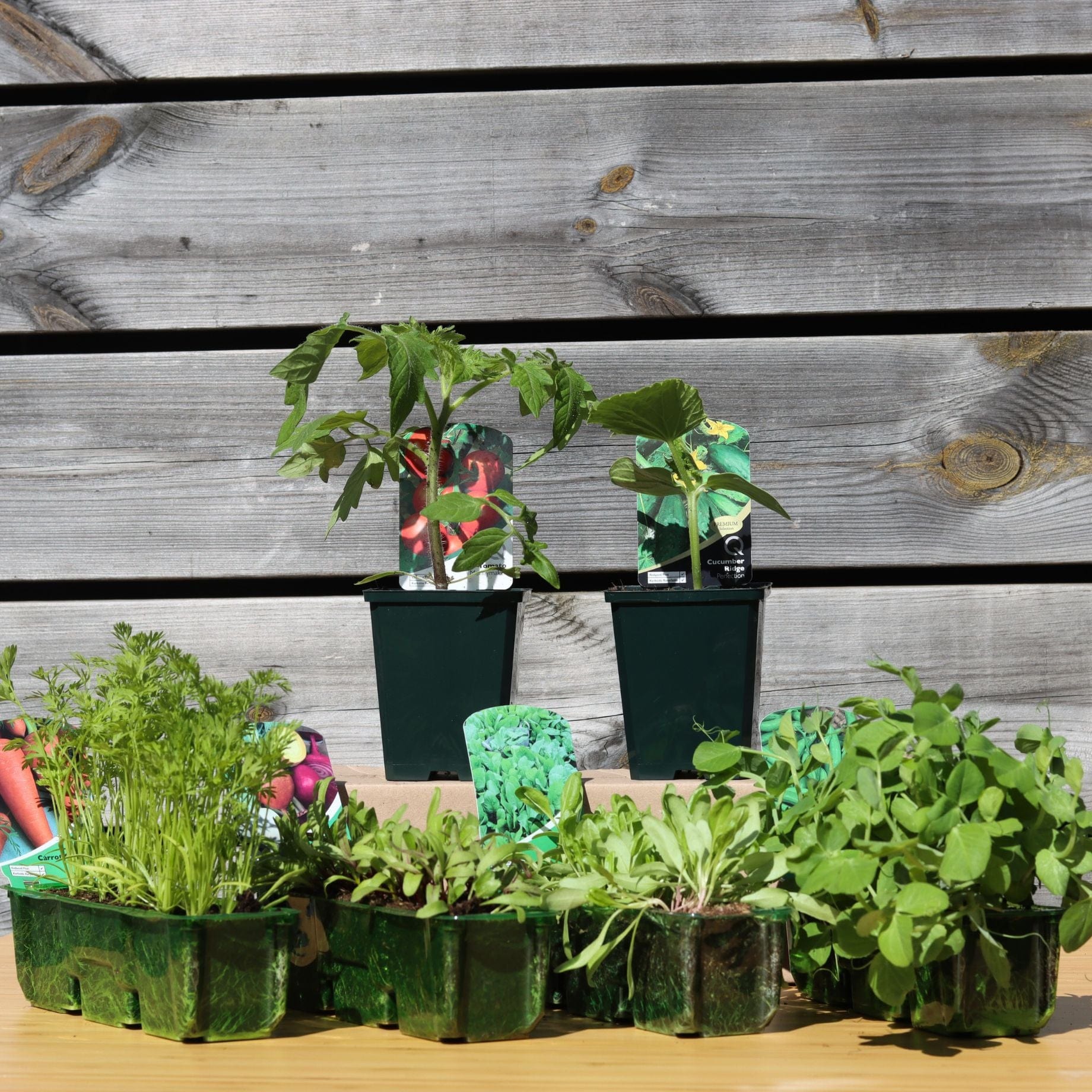 Best Vegetables Collection