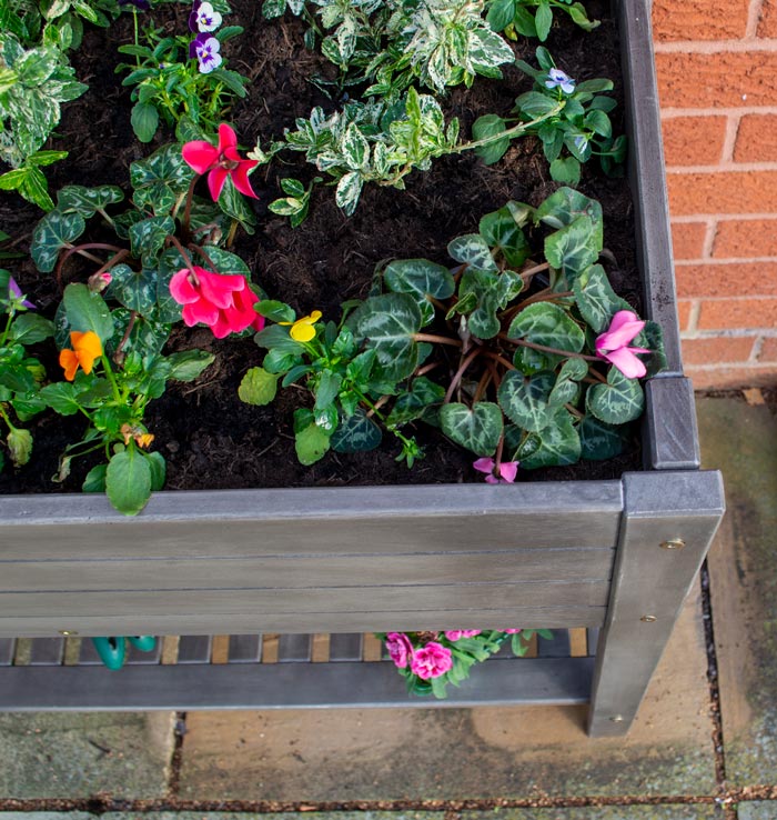 Rowlinson Alderley Raised Planter - Hortibliss