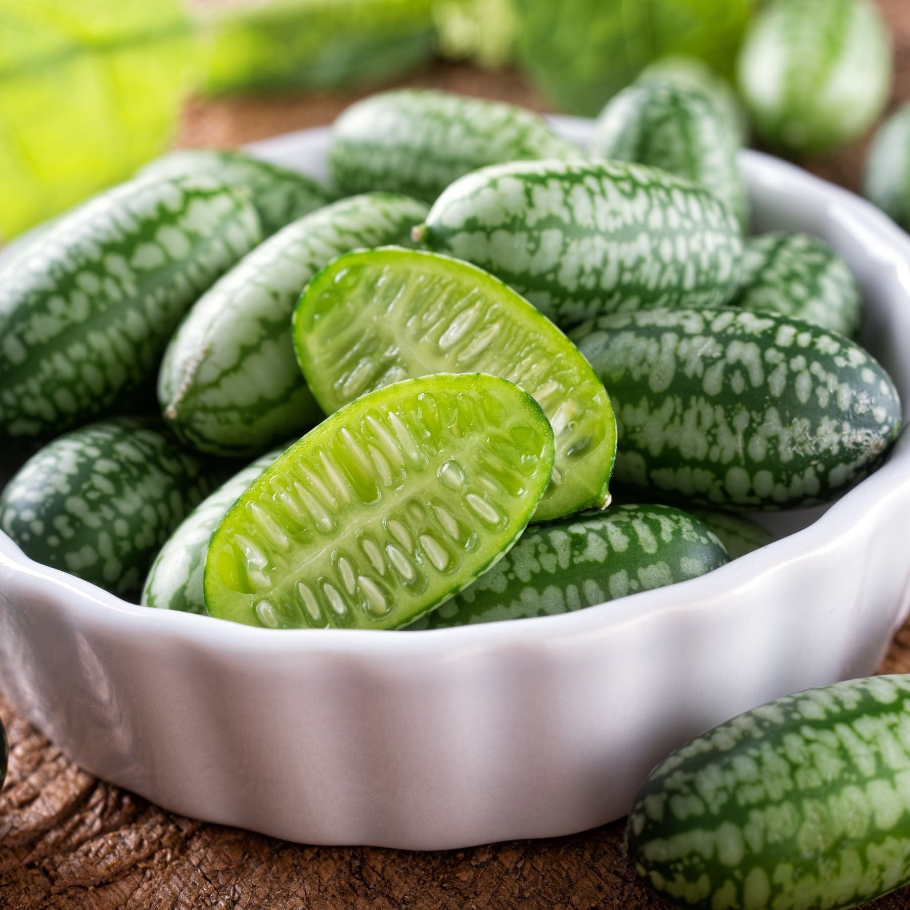 Cucamelon Plants