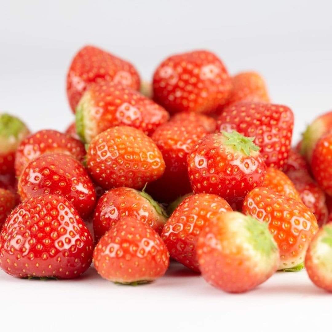 'Elsanta' Strawberry Plants