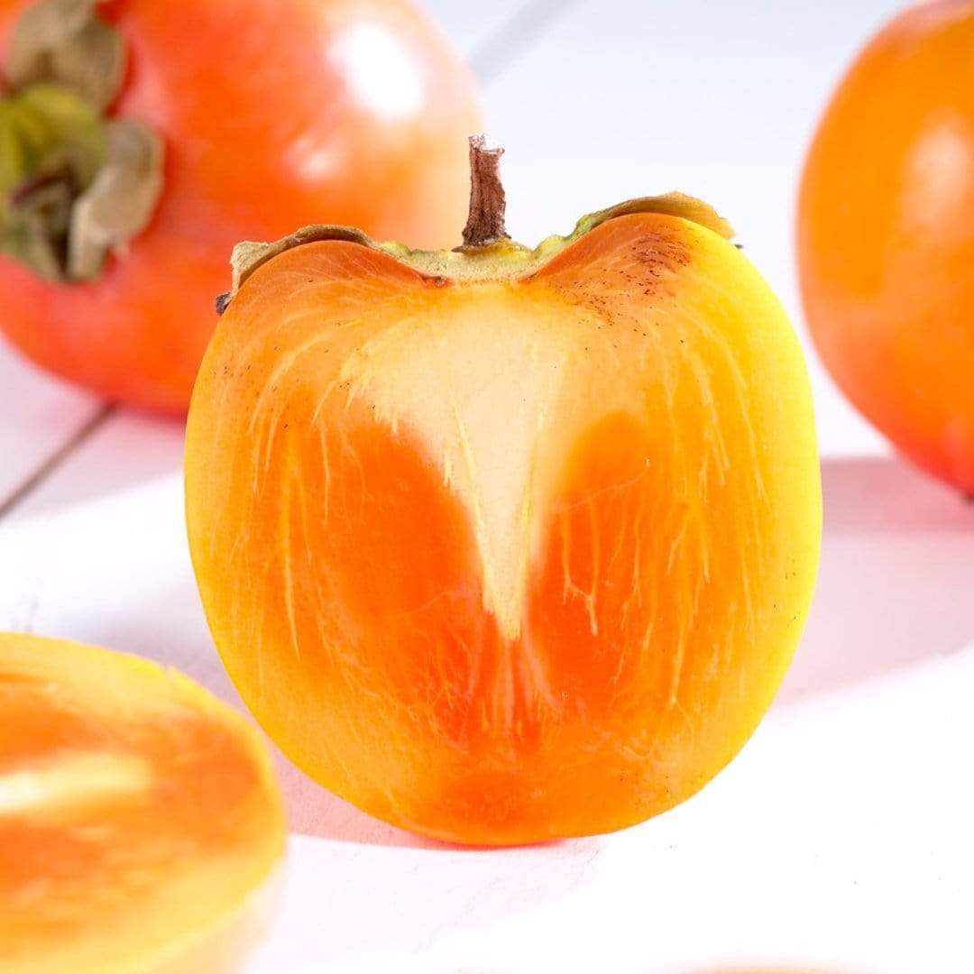 Japanese Persimmon Tree