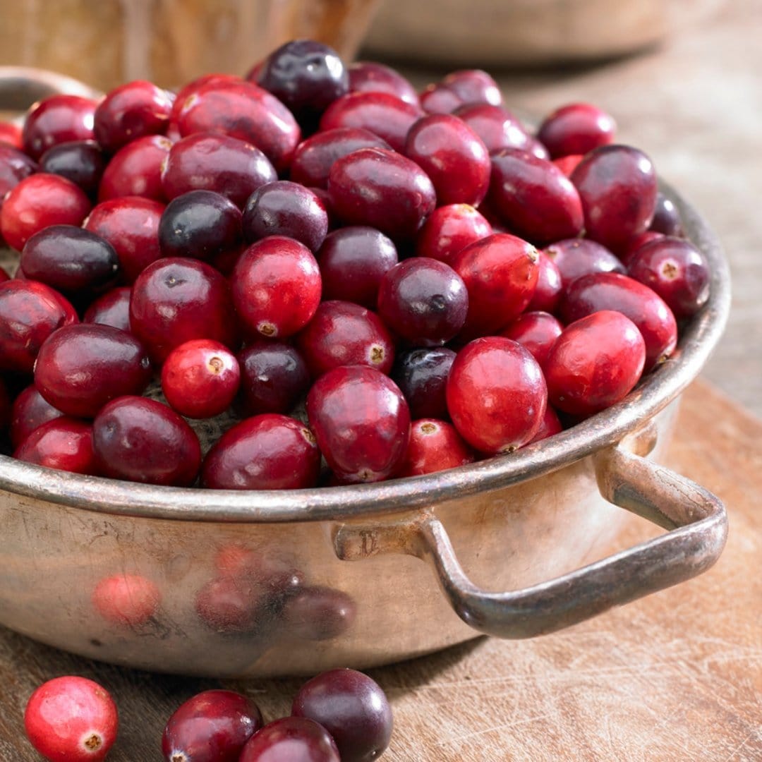 Cranberry Plant