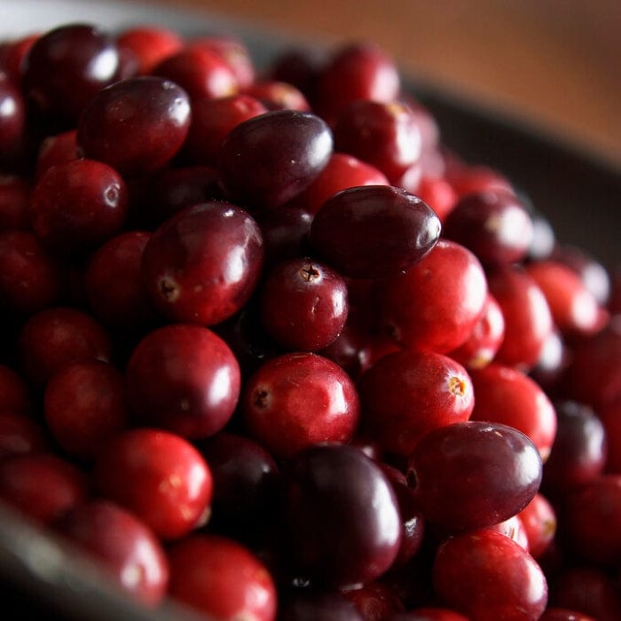 'Early Black' Cranberry Bush
