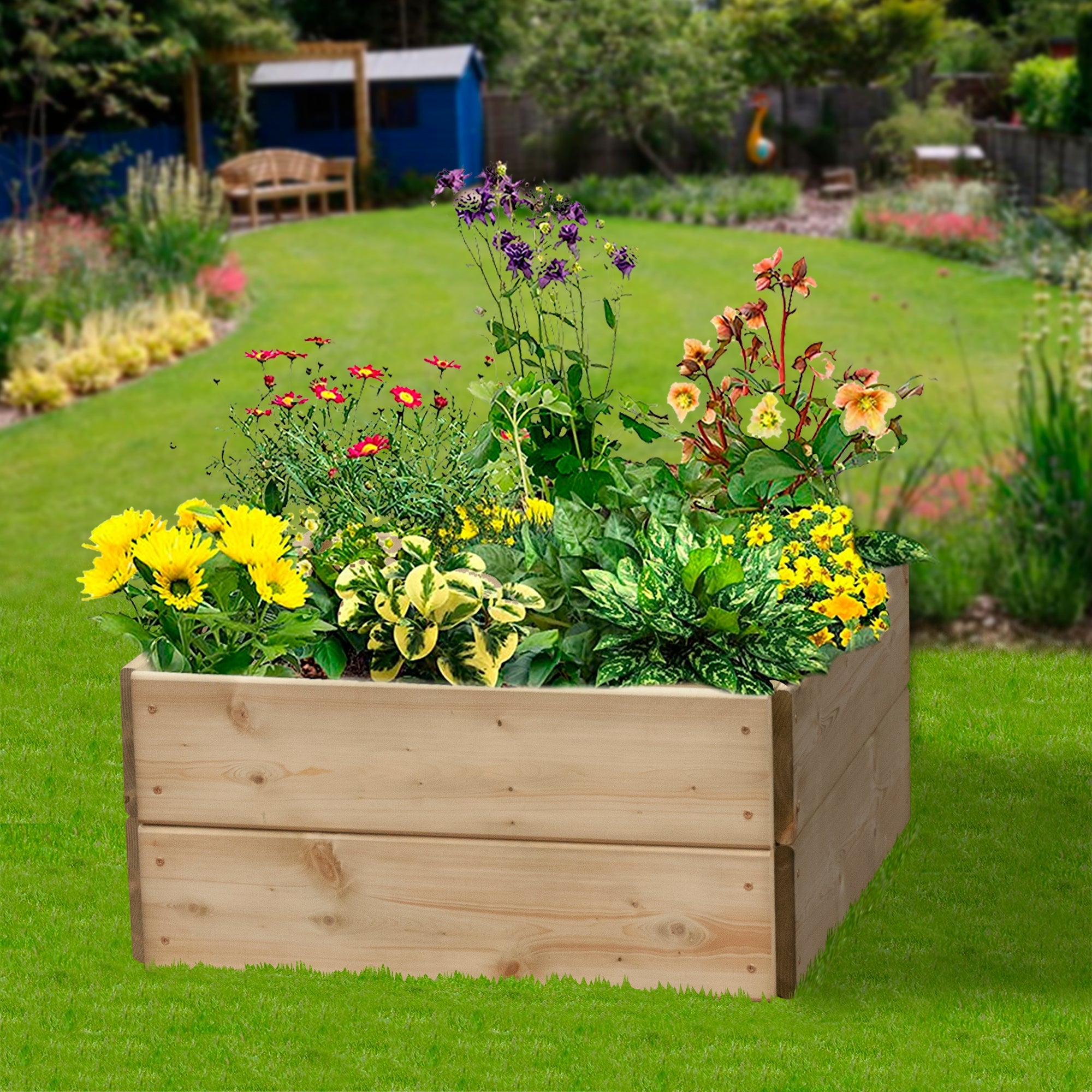 Square Raised Bed 30cm High, 60 x 60cm - Hortibliss