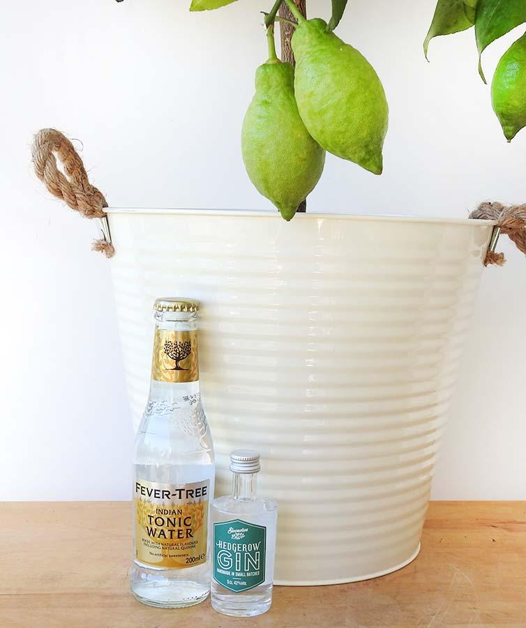 G&T Gift Set - Hortibliss