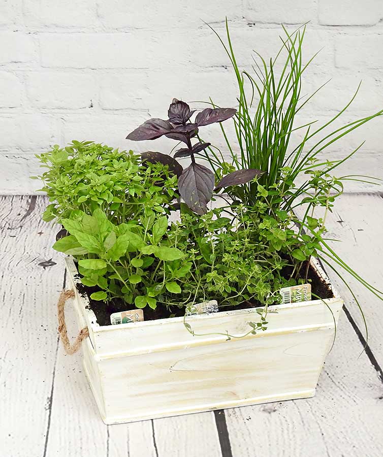 Wooden Herb Planter - Hortibliss