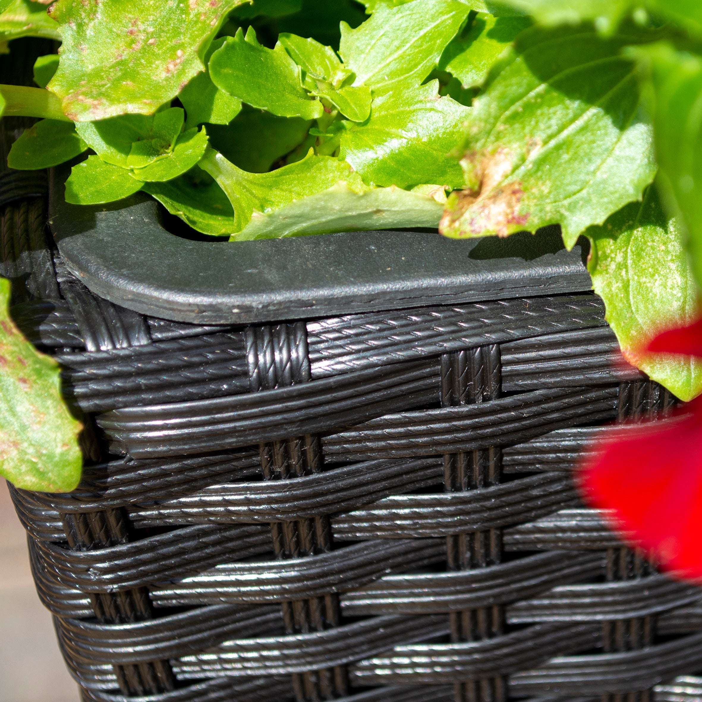 Square Black Rattan Planter - Pack of 2 - Hortibliss