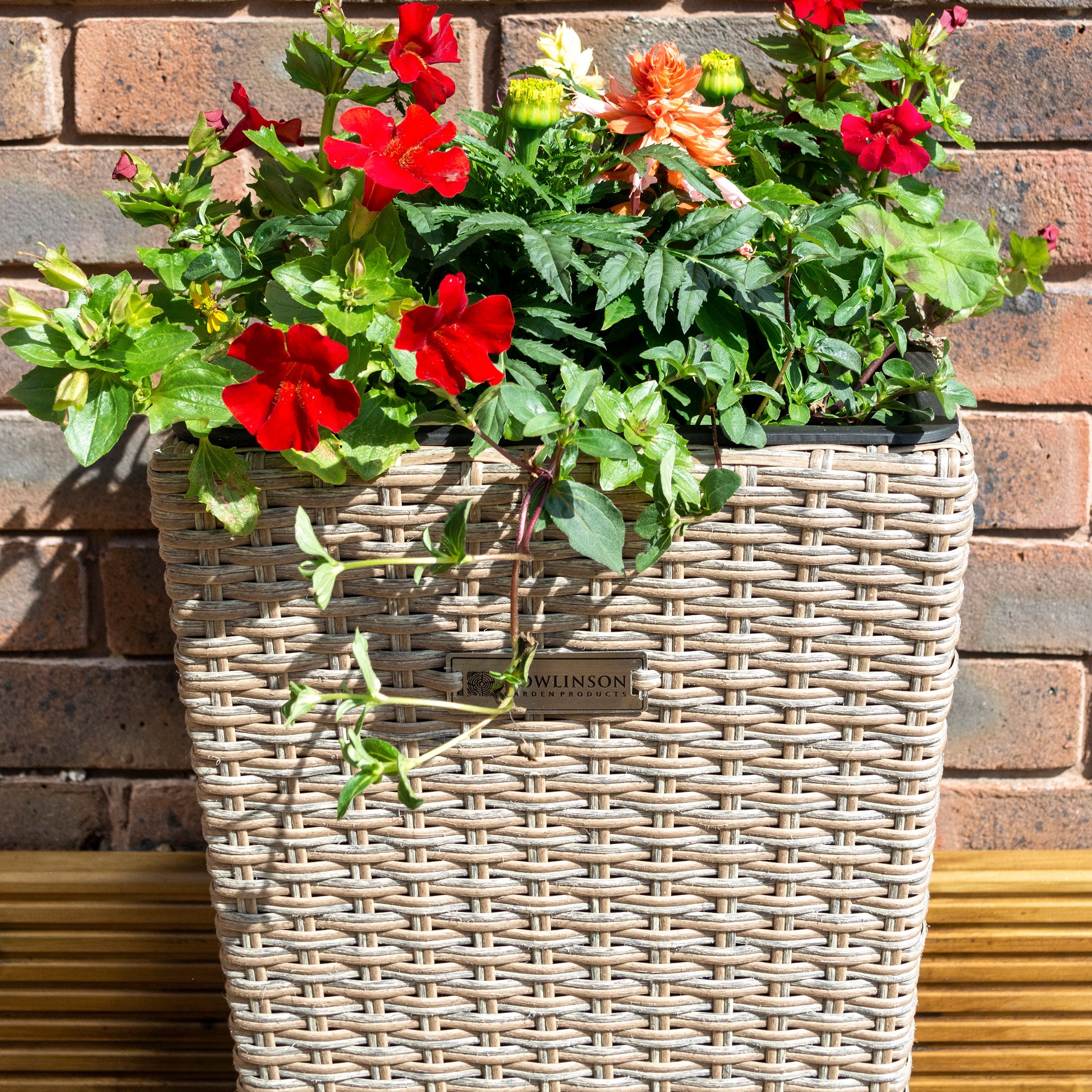 Square Natural Rattan Planter - Pack of 2 - Hortibliss