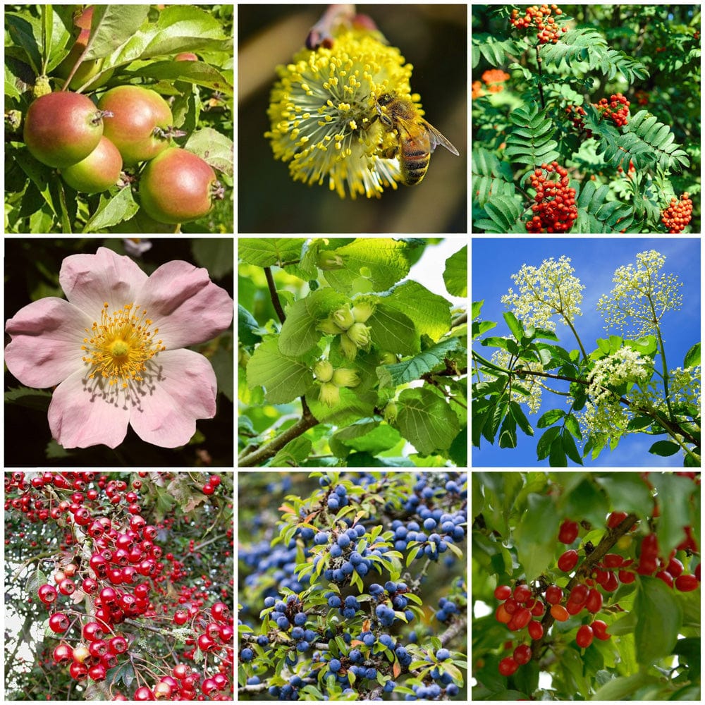 Growers' Choice