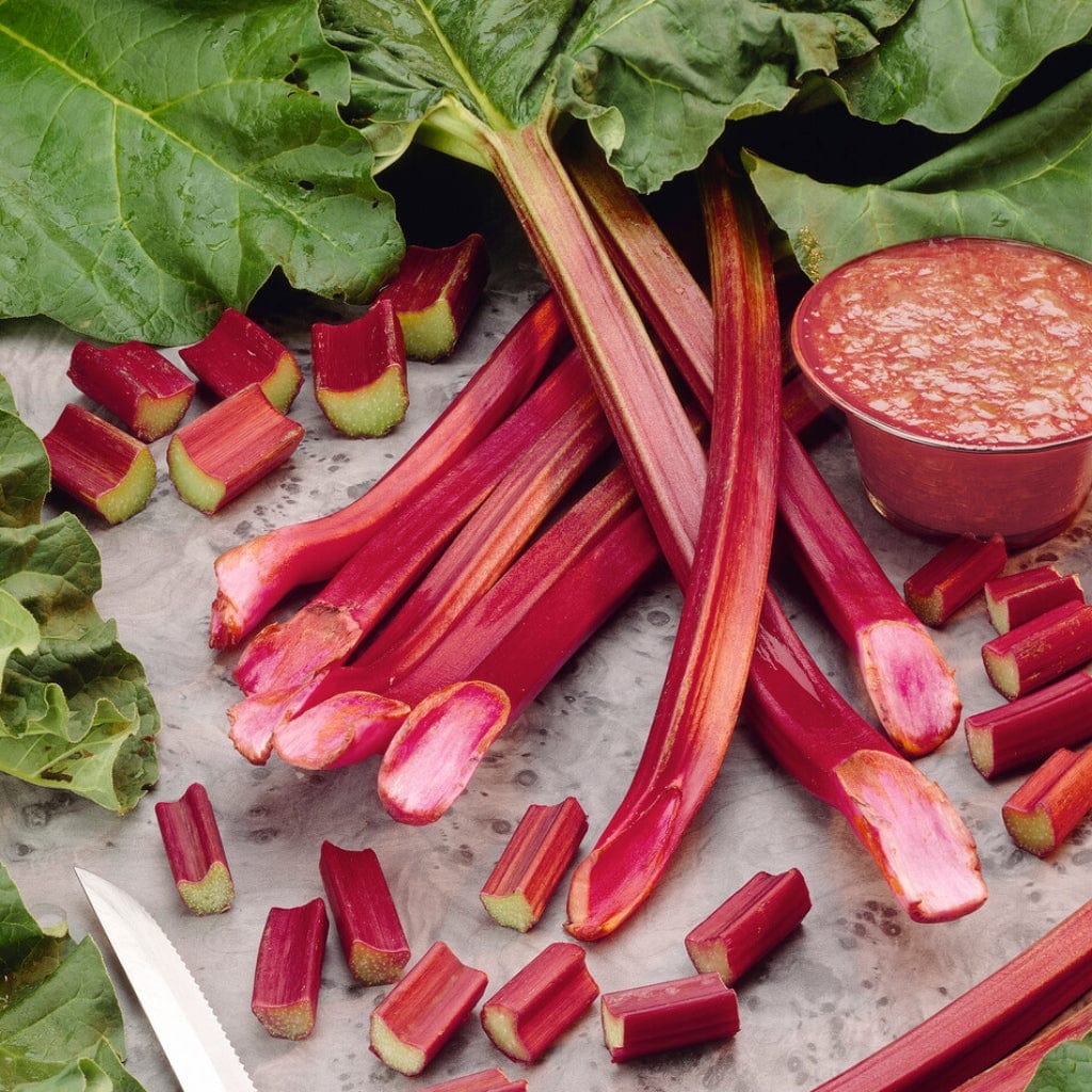 'Timperley Early' Rhubarb Plant
