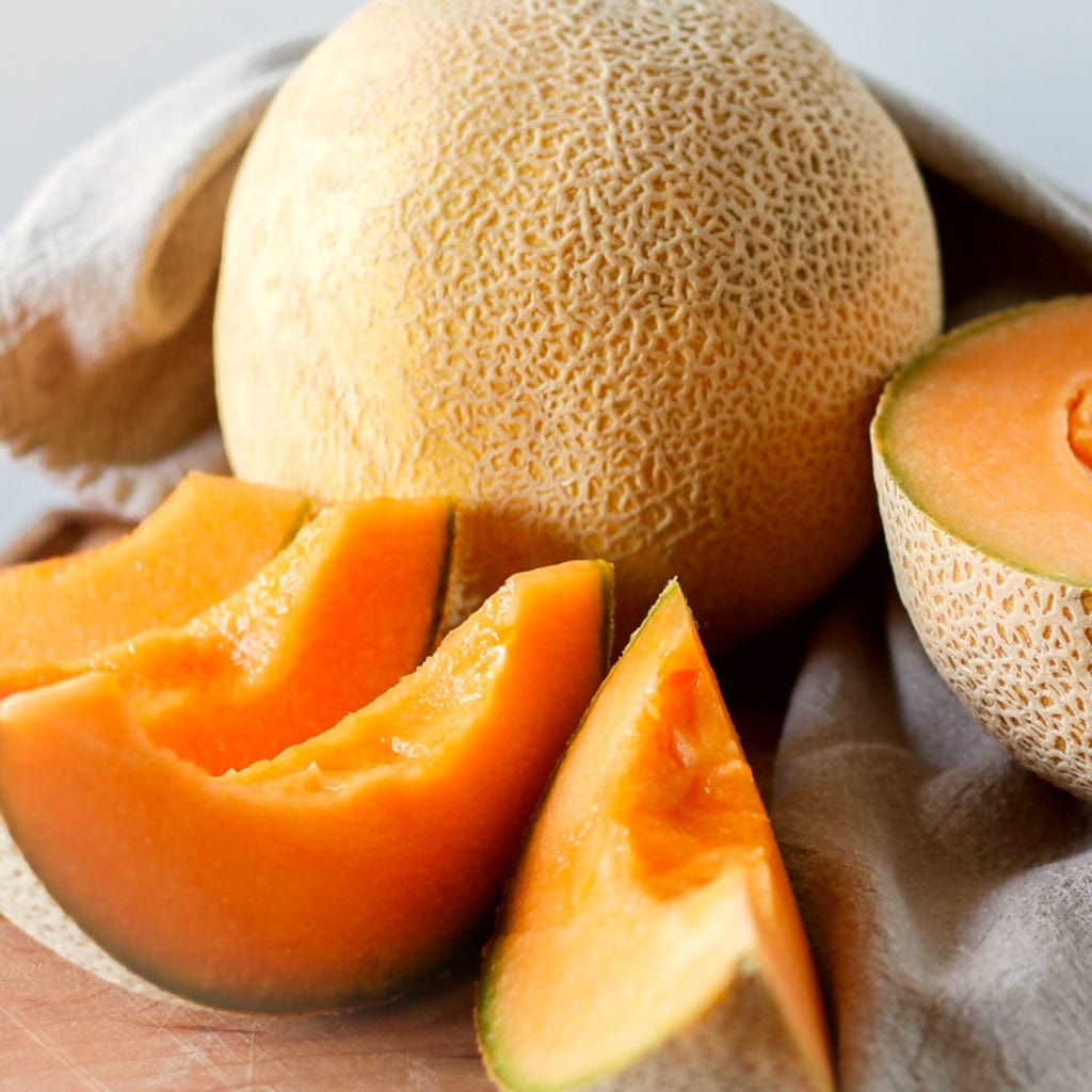 Cantaloupe Melon Plants