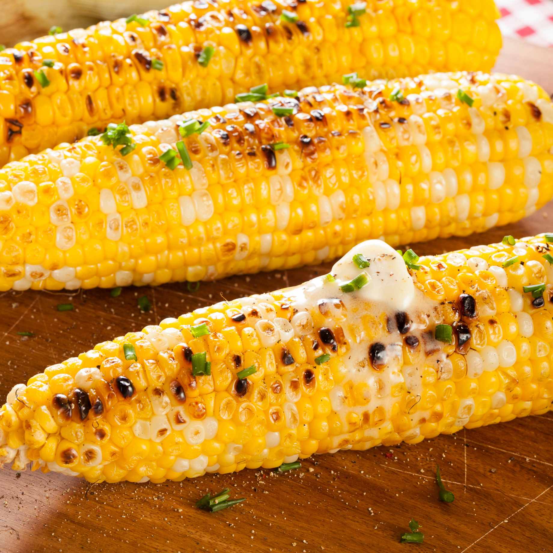 'Earlibird' Extra Sweet Sweetcorn Plants