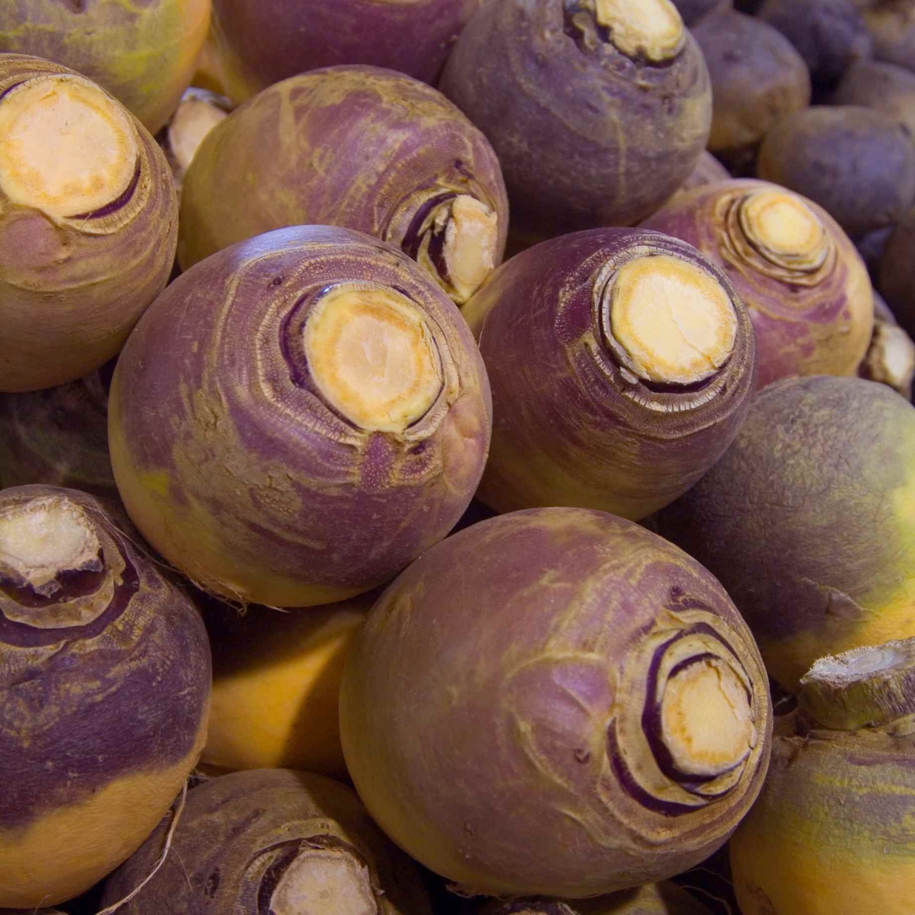 'Marian' Swede Plants
