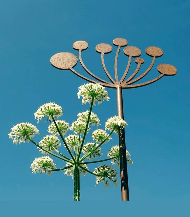 Decorative Cow Parsley Plant Stake - Hortibliss