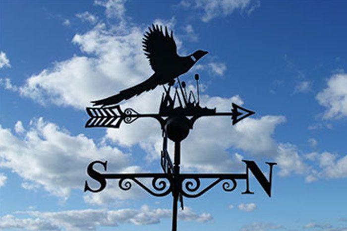 Pheasant Weathervane - Hortibliss