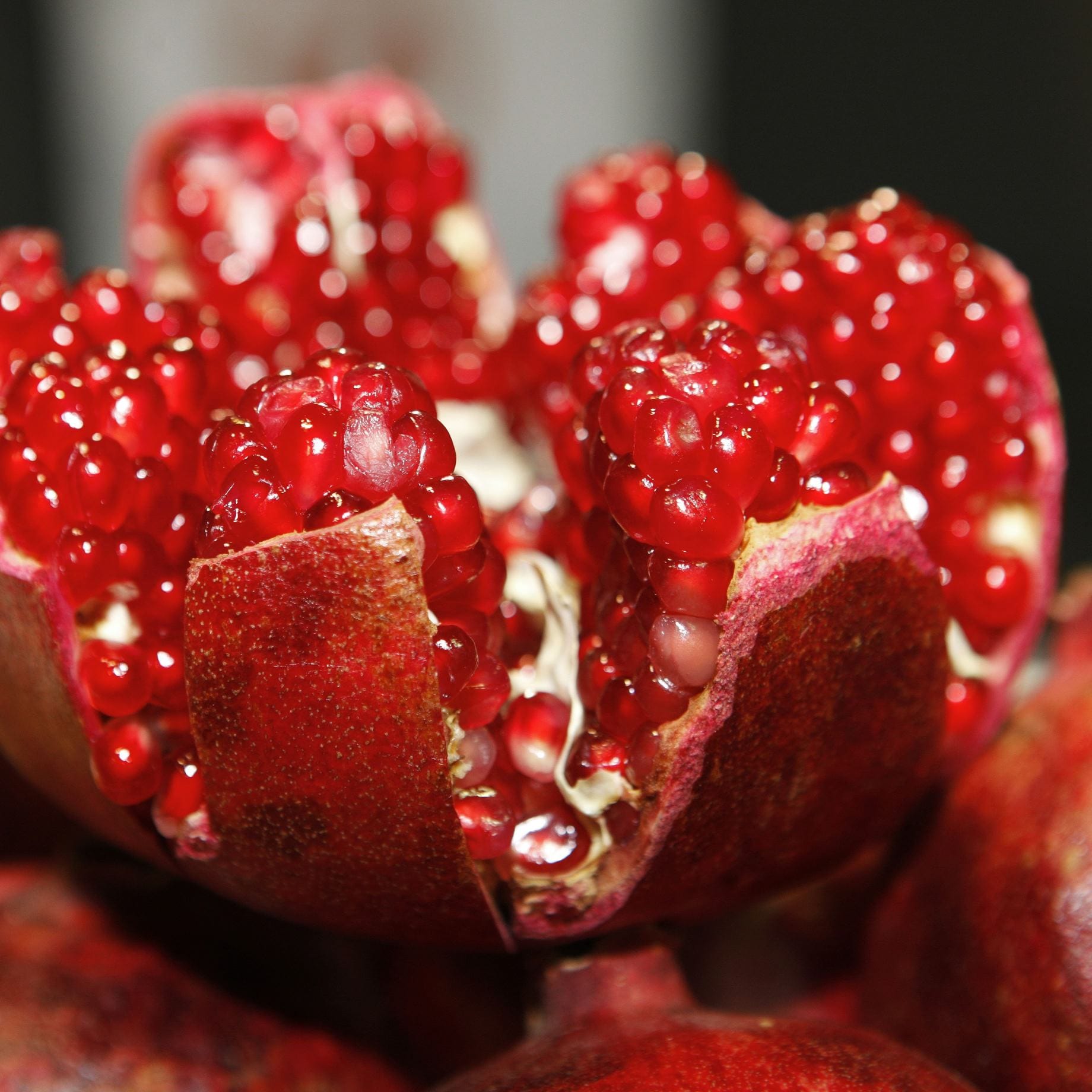 UK Hardy Pomegranate Bush