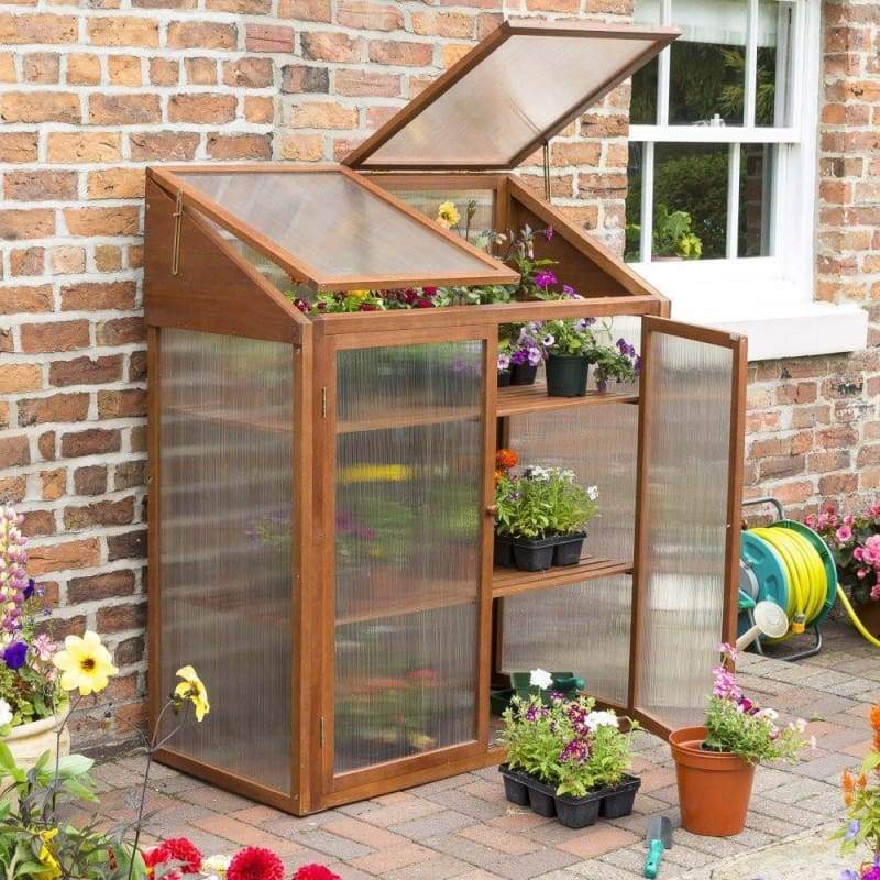 Rowlinson Hardwood Mini Greenhouse - Hortibliss