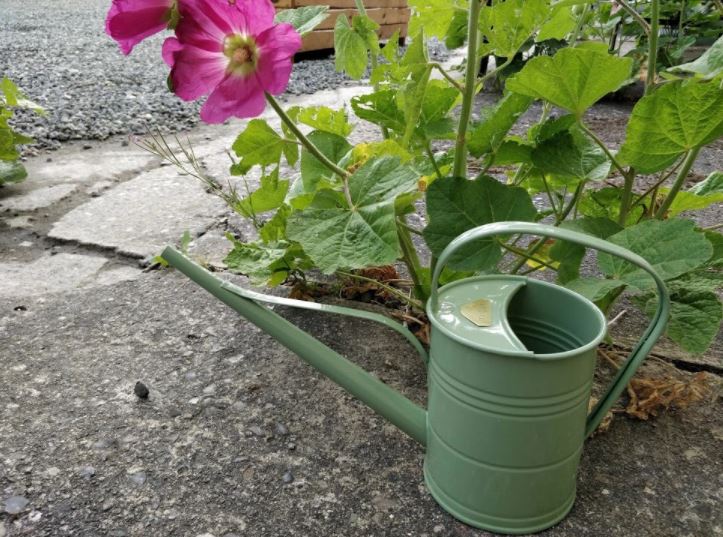 Summer Green Watering Can - 1.5 Litres - Hortibliss